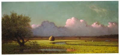 Sunlight and Shadow: The Newbury Marshes by Martin Johnson Heade